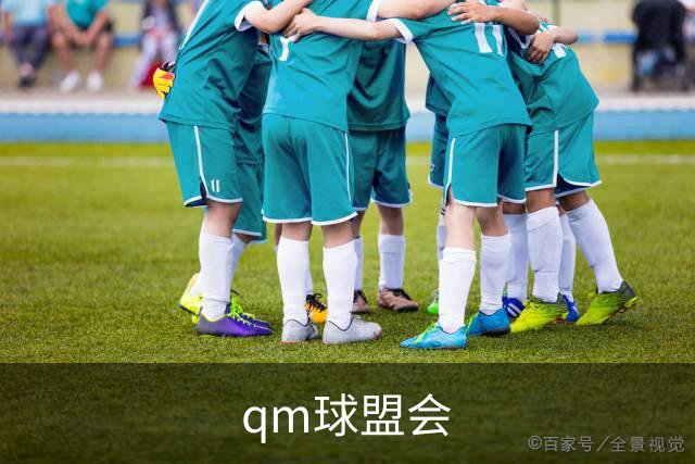 qm球盟会公司简介